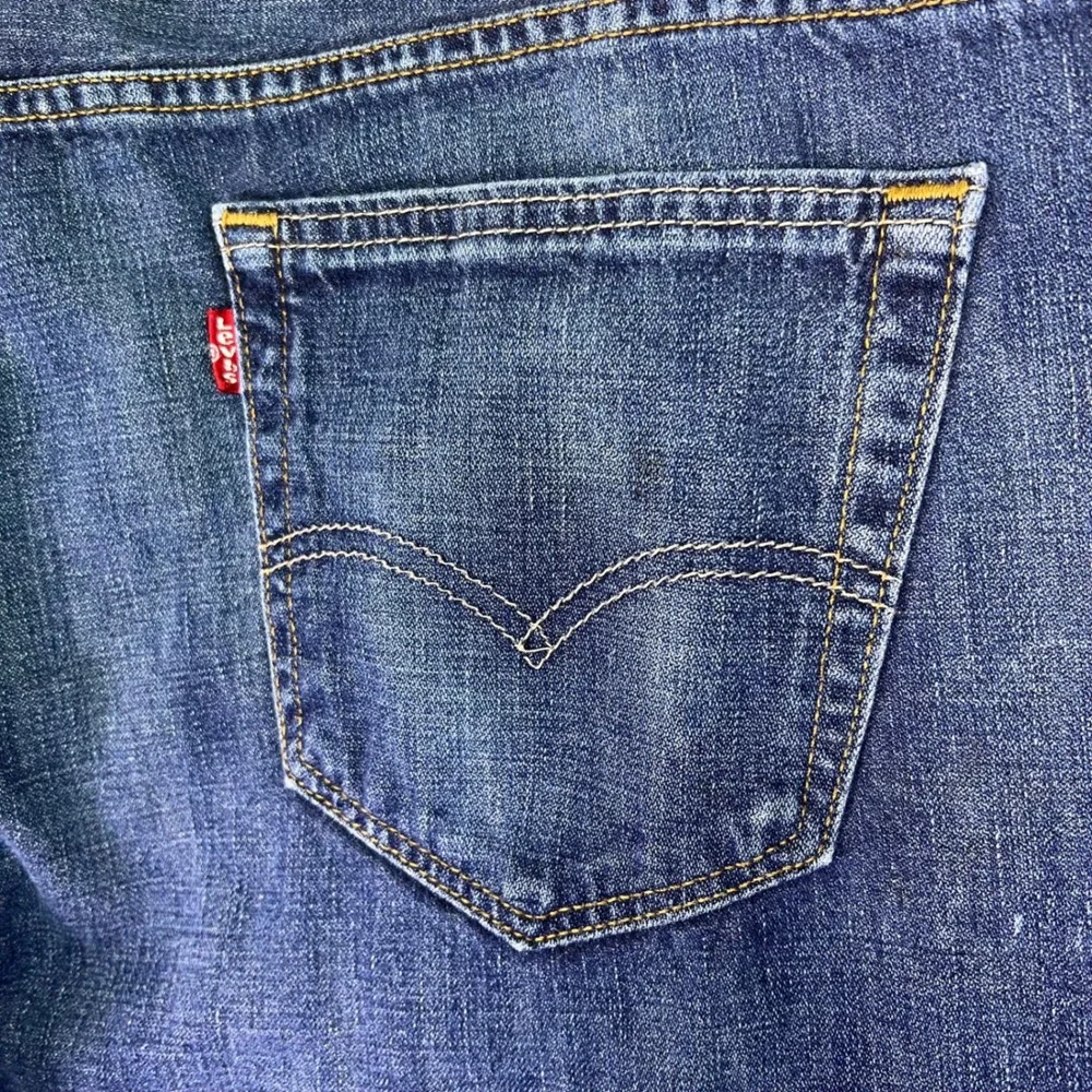 Levis levi 569